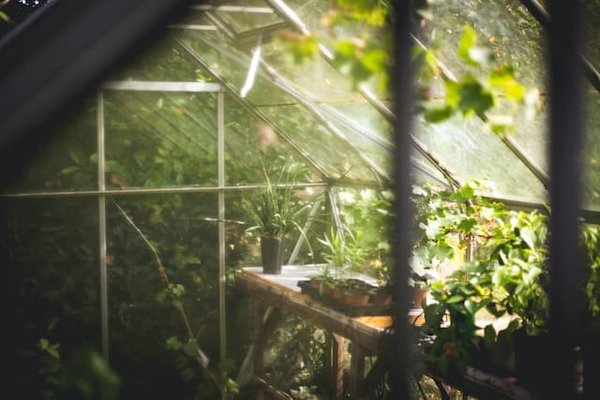 Comment fabriquer une serre de jardin en PVC ?