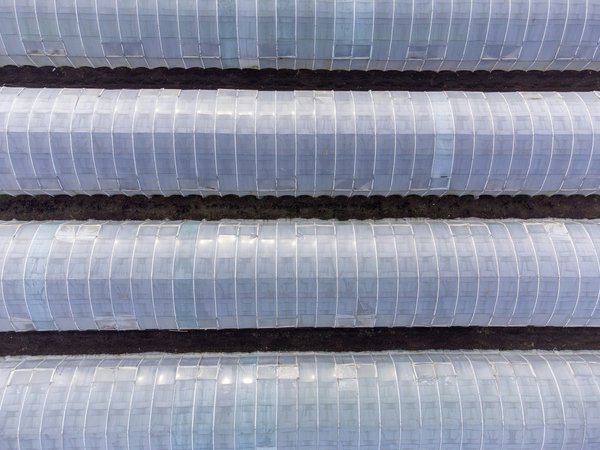 Bâche pour serre : Son importance dans l'agriculture